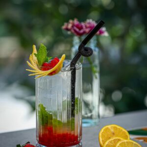 Berry mohito